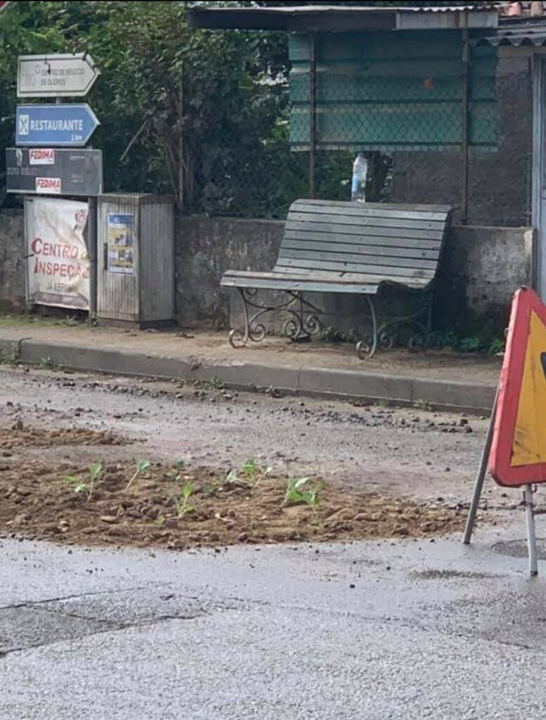 Populares de Vila do Prado, Vila Verde, plantam couves nos buracos de uma estrada